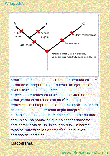 cladograma 1 (51K)