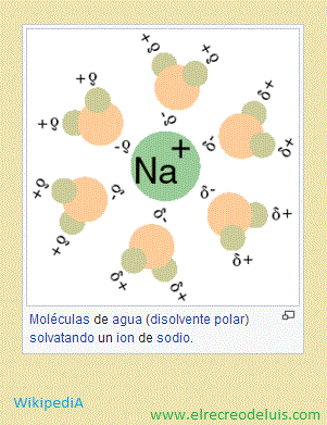 disolvente polar (26K)