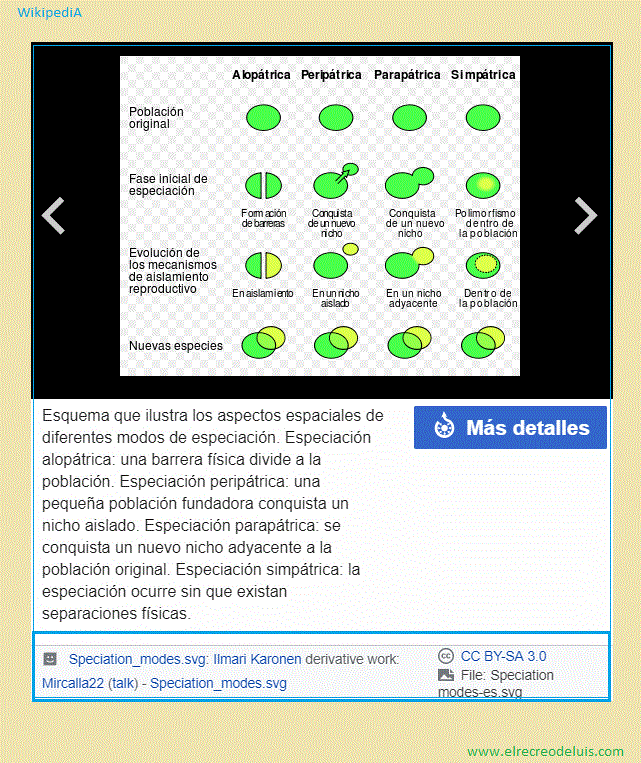 esquema de especiacion (110K)