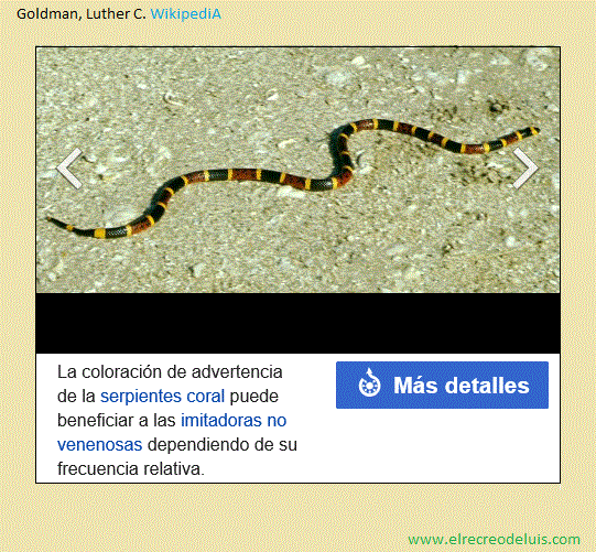 serpiente coral (82K)