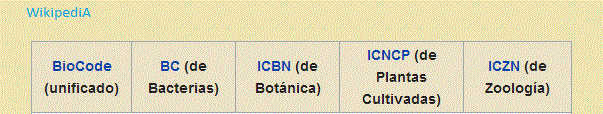 biocode parte superior (23K)