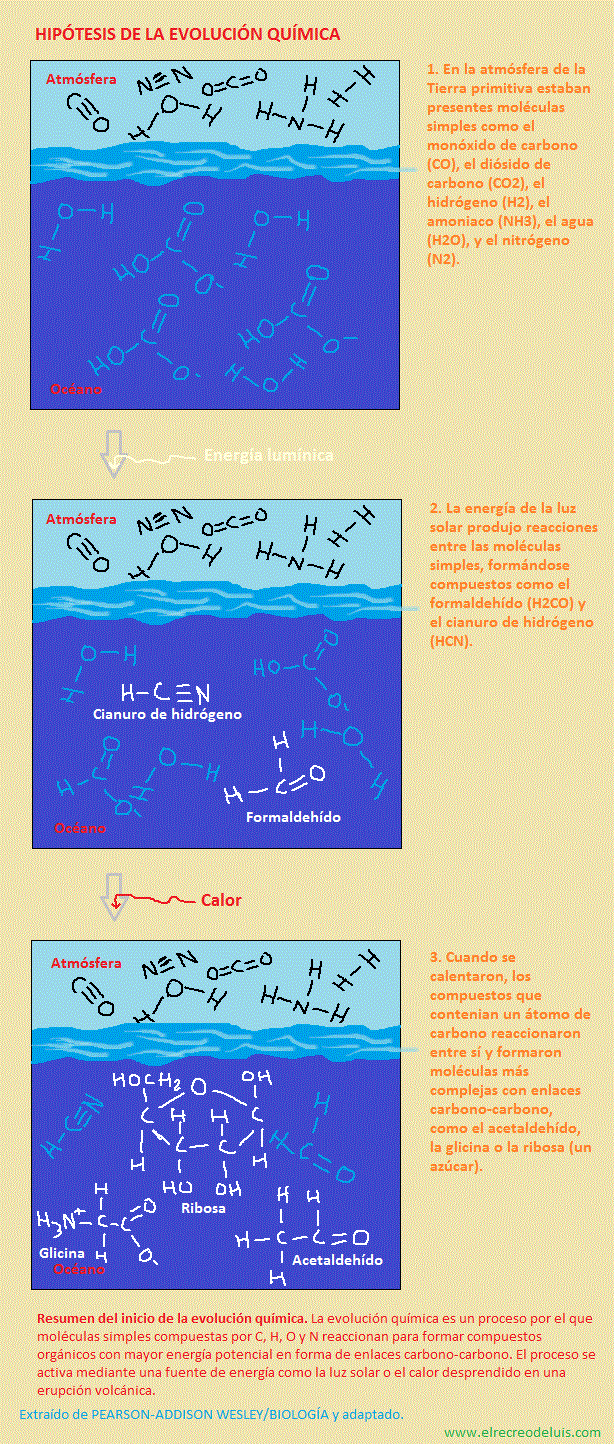 hipotesis de la evolucion quimica (250K)